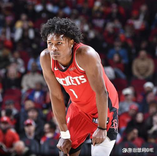 打爆了鹈鹕内线！火箭内线支柱绝对是球队不可或缺的关键人物