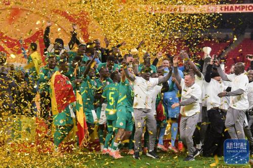 塞内加尔又进世界杯了吗？塞内加尔又进世界杯了吗最新消息？