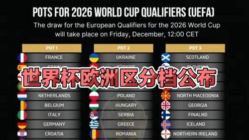 世界杯2010预选赛欧洲区分组名单，2010世界杯预选赛20强赛积分？