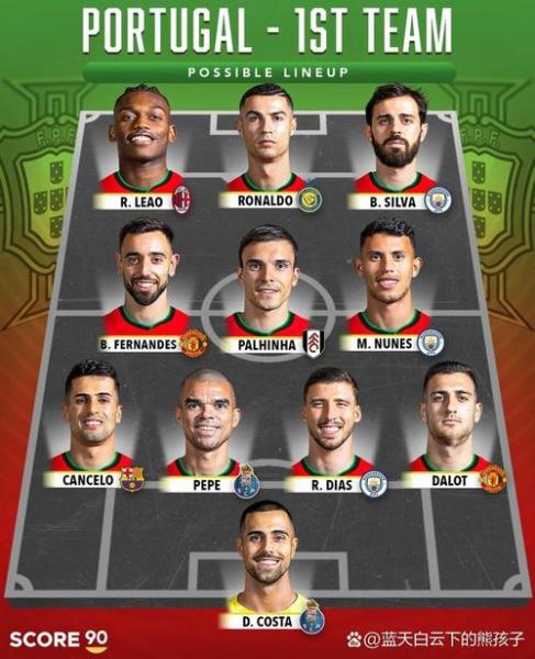 葡萄牙2006年世界杯阵容，葡萄牙在2006年世界杯哪个小组？