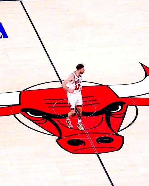 nba公牛的英文，公牛英文翻译？