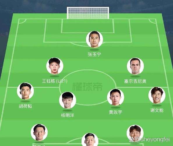 中国亚洲杯阵容预测，亚洲杯中国队的比赛？